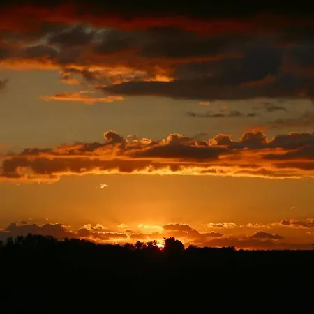 Nature View アパート