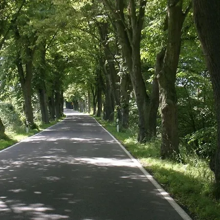 アパート Nature View