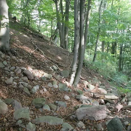 Nature View アパート Conow